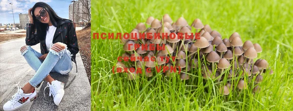 метадон Аркадак