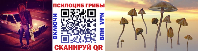 дарк нет формула  Усолье-Сибирское  Псилоцибиновые грибы Magic Shrooms  где найти наркотики 